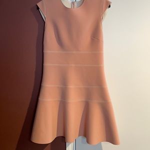 Beautiful Sandro dress!